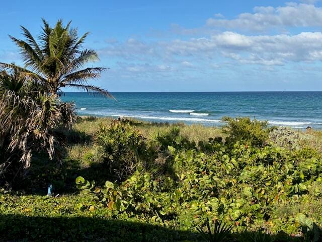 3163 NE 8th Avenue, Boca Raton, FL 33431 photo 16