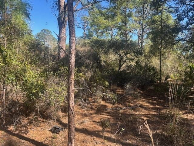 221 Rainbow Drive — photo 2