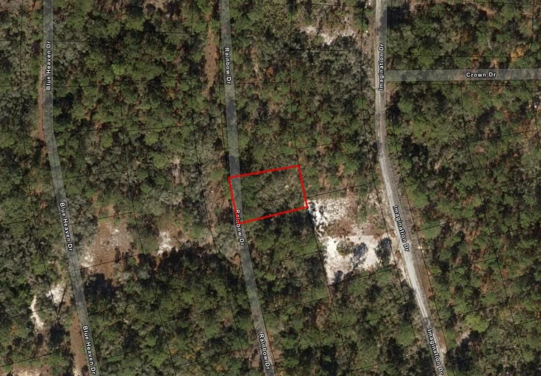 221 Rainbow Drive — photo 3