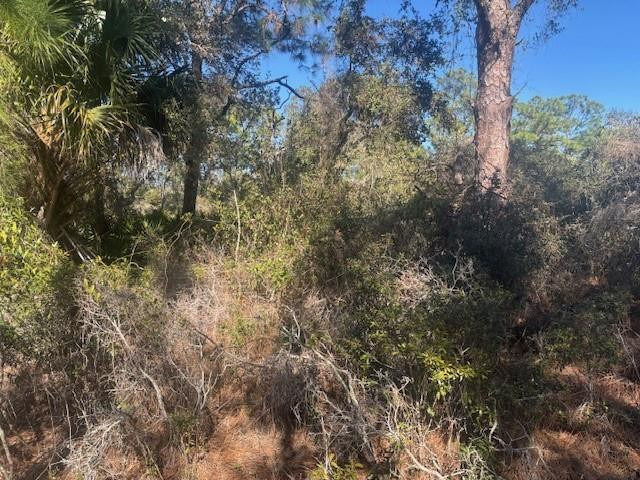 221 Rainbow Drive, Lake Placid, FL 33852, Lake Placid