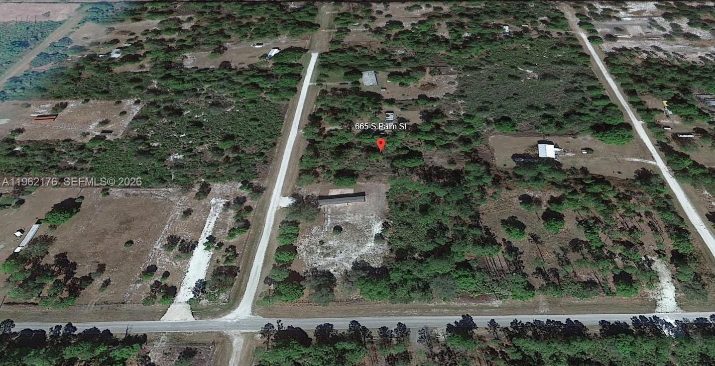 665 S Palm Street — photo 12