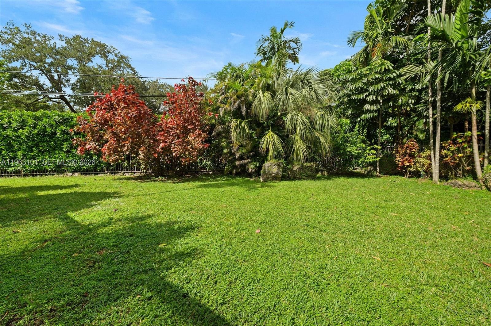 1240 Ferdinand Street, Coral Gables, FL 33134 photo 6