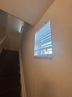 2337 Vintage Drive, Lighthouse Point, FL 33064 photo 23