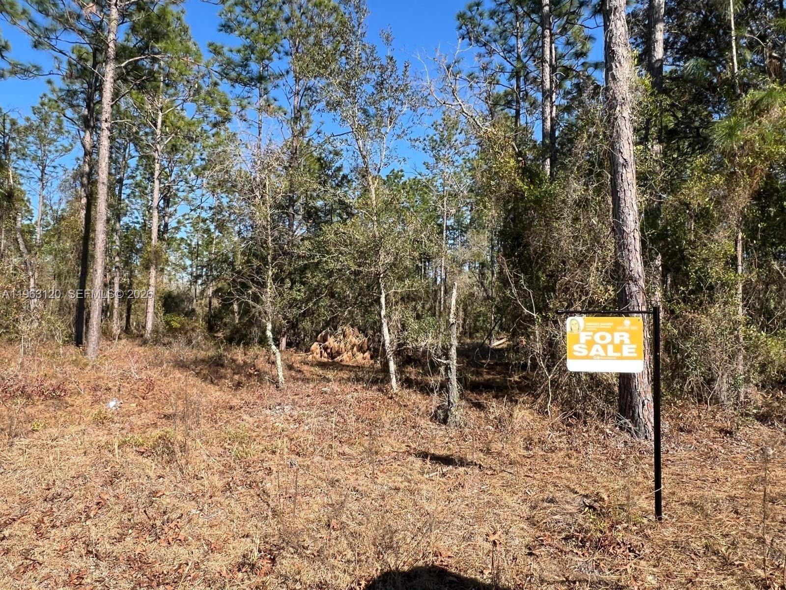 000 Rainbow Lakes Estates — photo 3