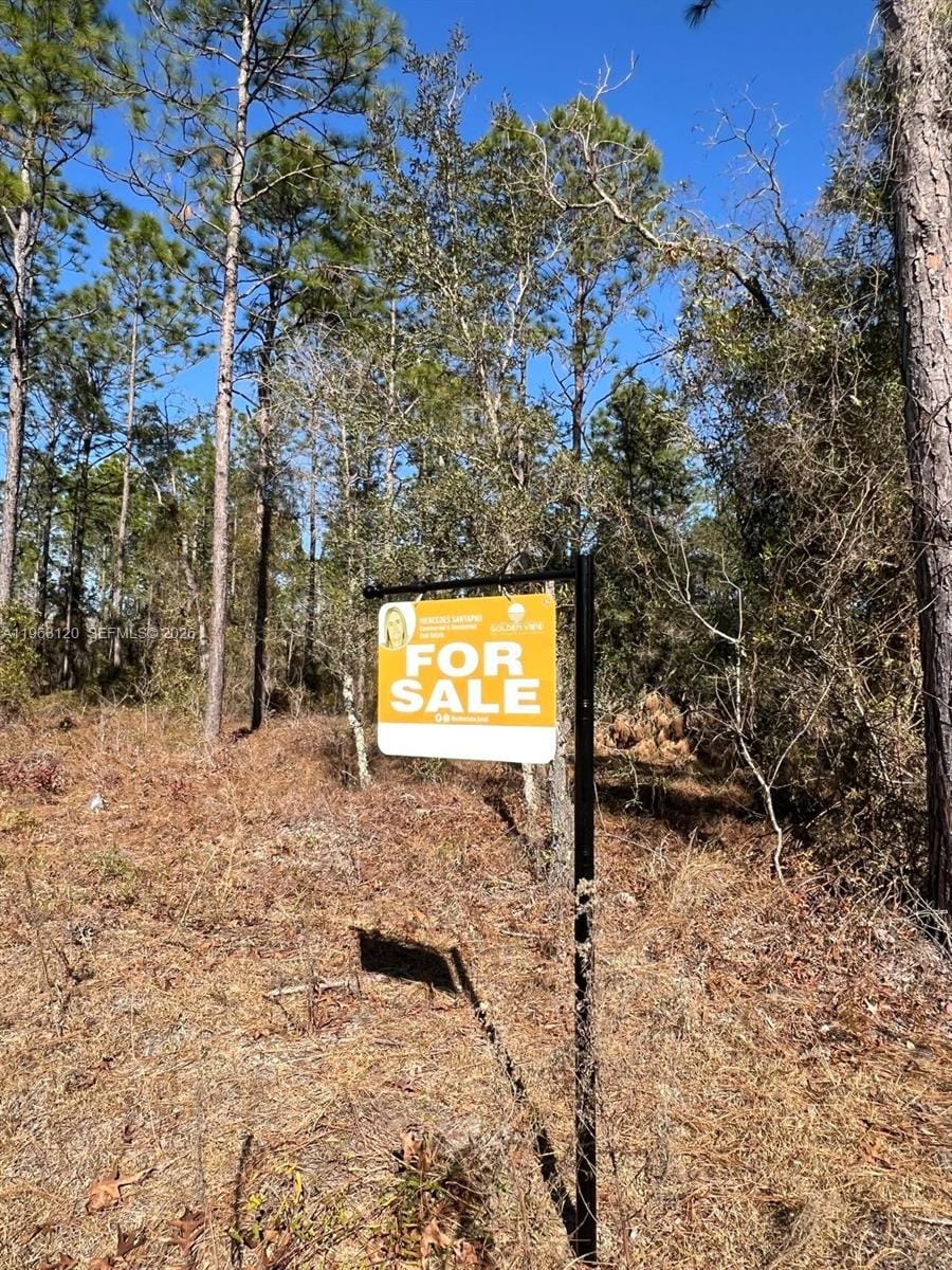 000 Rainbow Lakes Estates — photo 4