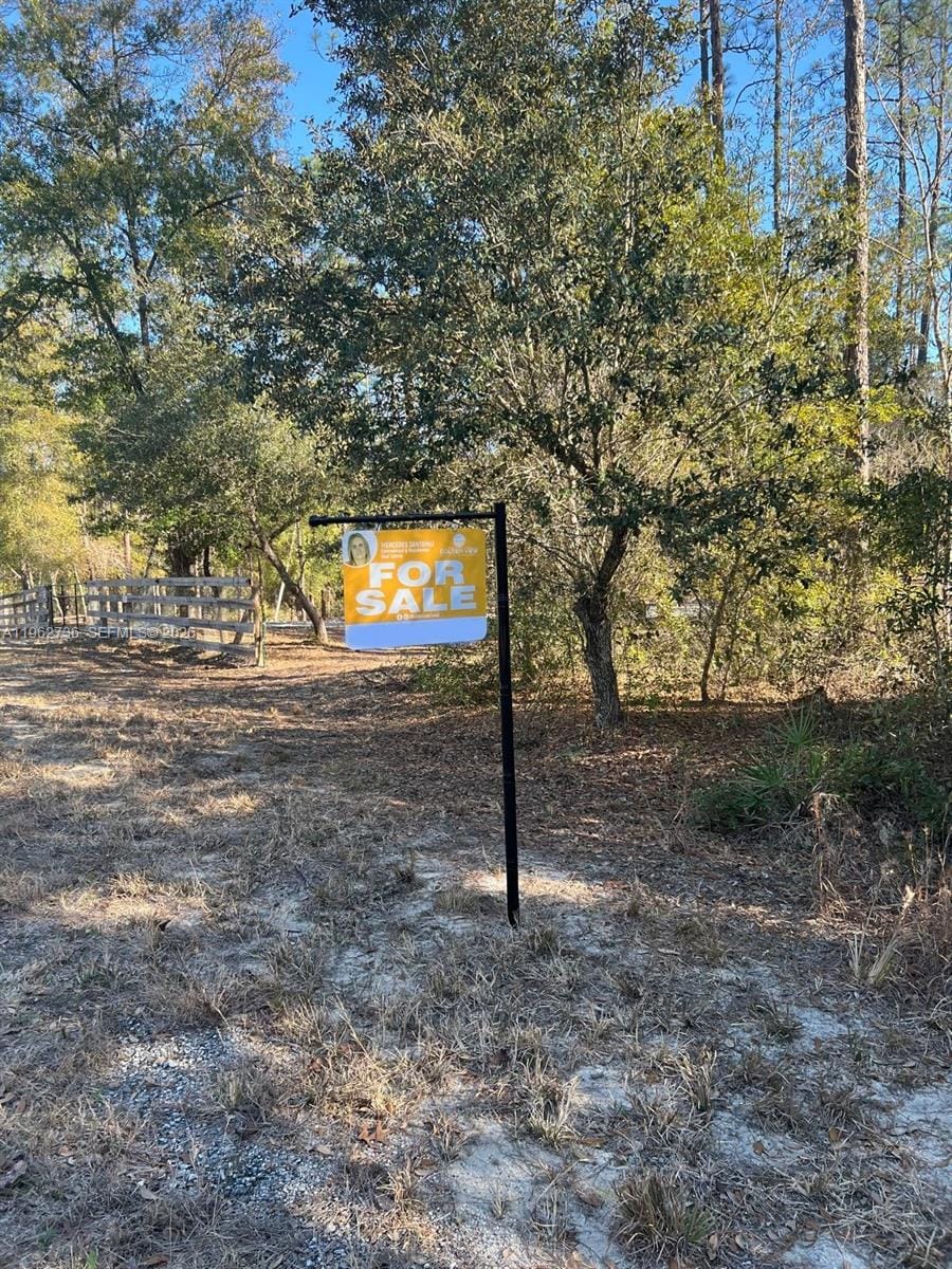000 Dunnellon, FL 34431 photo 3