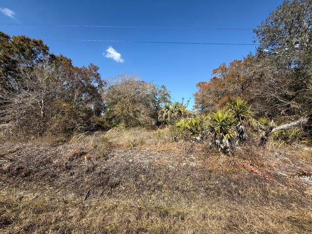 18075 NW 278th Street, Okeechobee, FL 34972