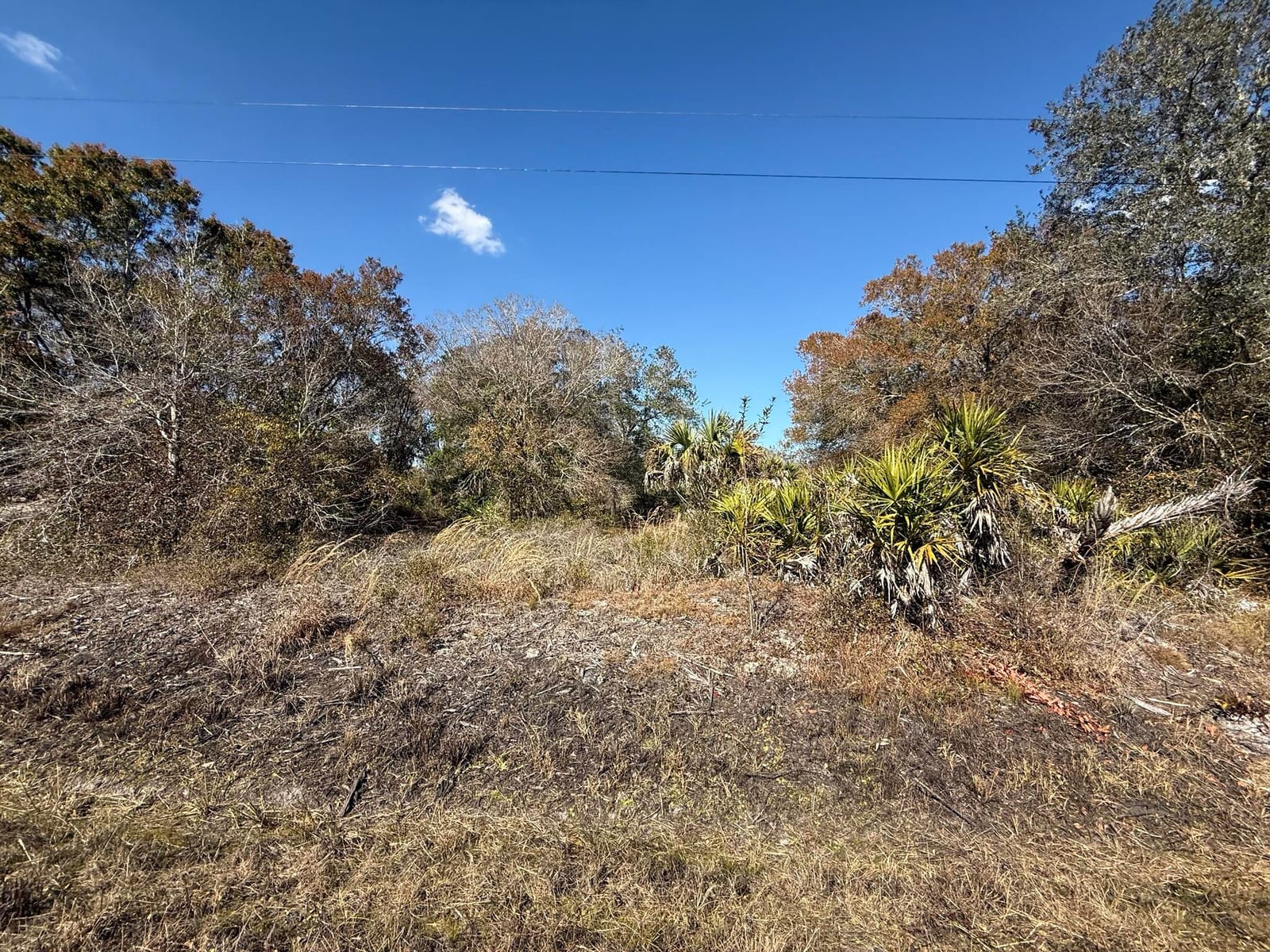 18075 NW 278th Street, Okeechobee, FL 34972