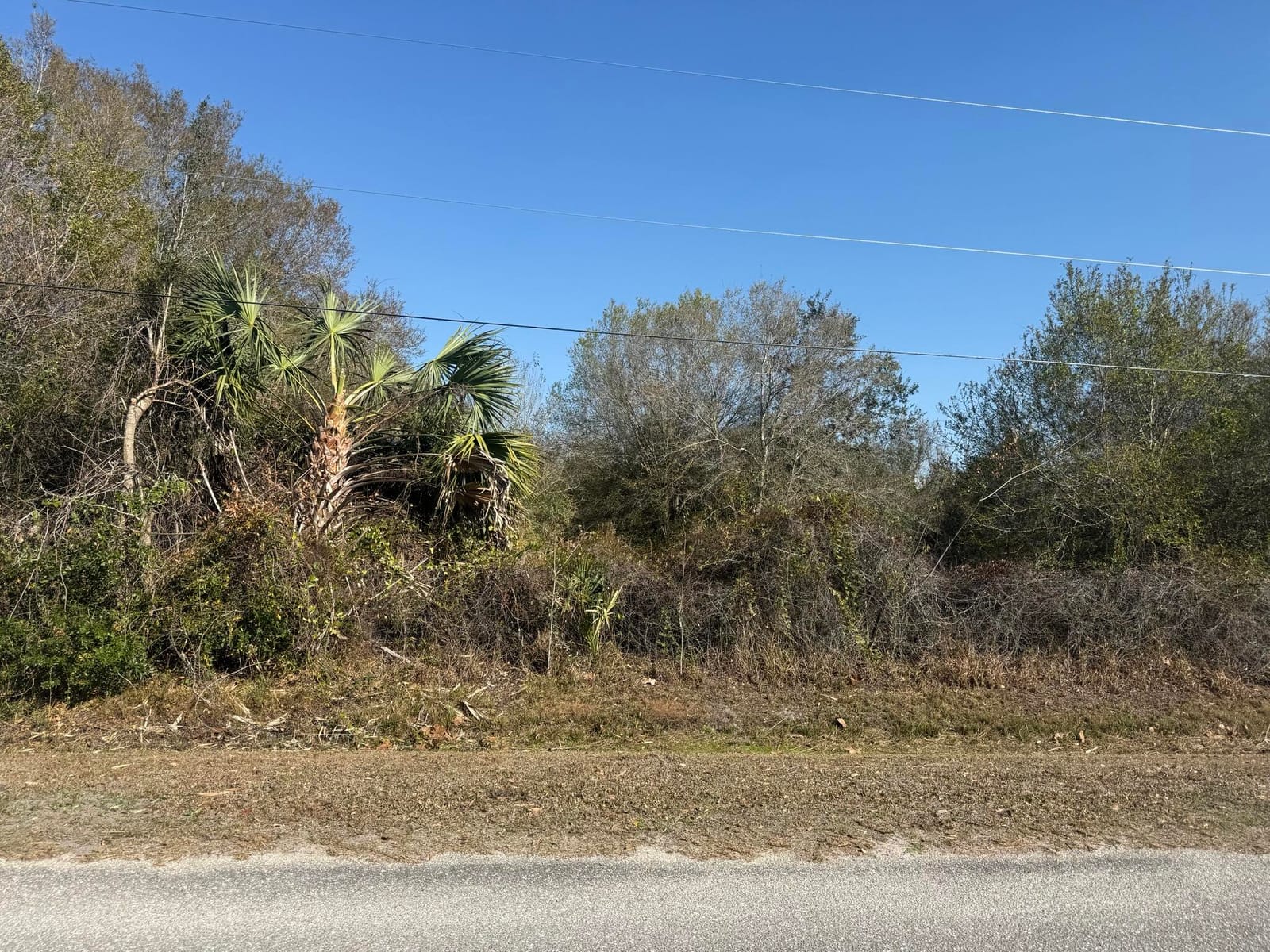 10826 NW 4th Avenue, Okeechobee, FL 34972