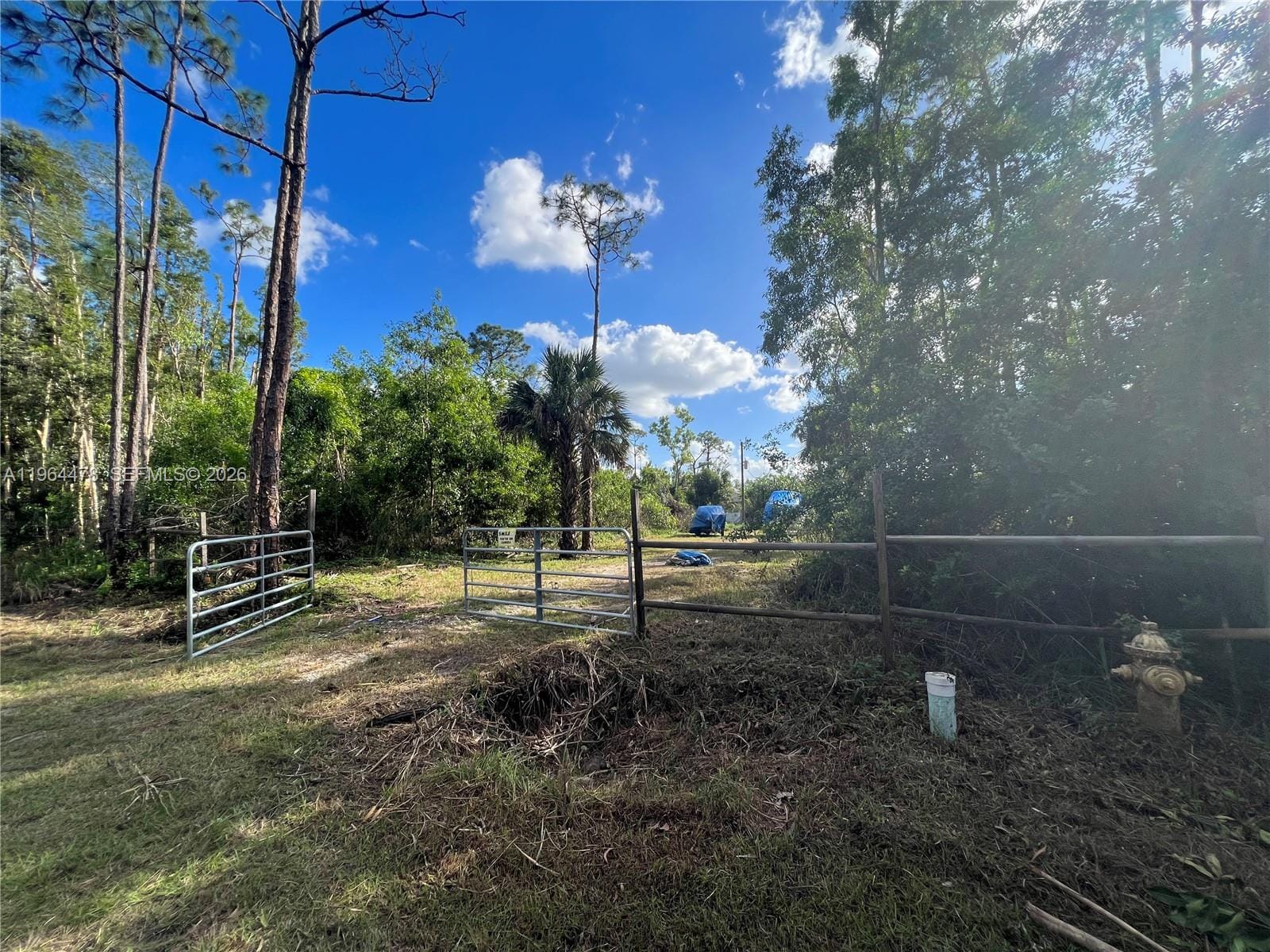 3050 Pine Tree Drive, Naples, FL 34112 photo 17