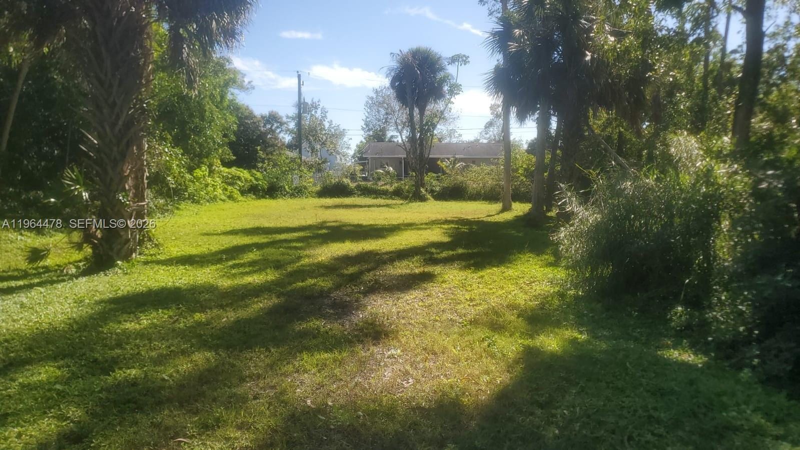 3050 Pine Tree Drive, Naples, FL 34112 photo 3