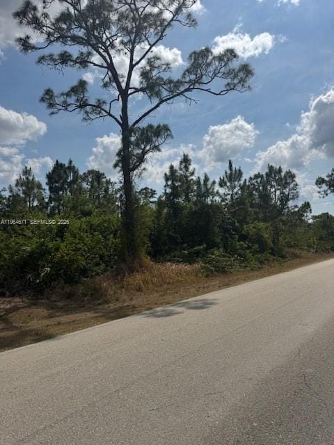 3102 E 10th Street, Lehigh Acres, FL 33972 photo 2