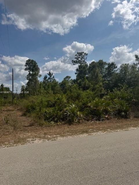 3102 E 10th Street, Lehigh Acres, FL 33972 photo 4
