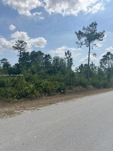 3104 E 10th Street, Lehigh Acres, FL 33972 photo 6