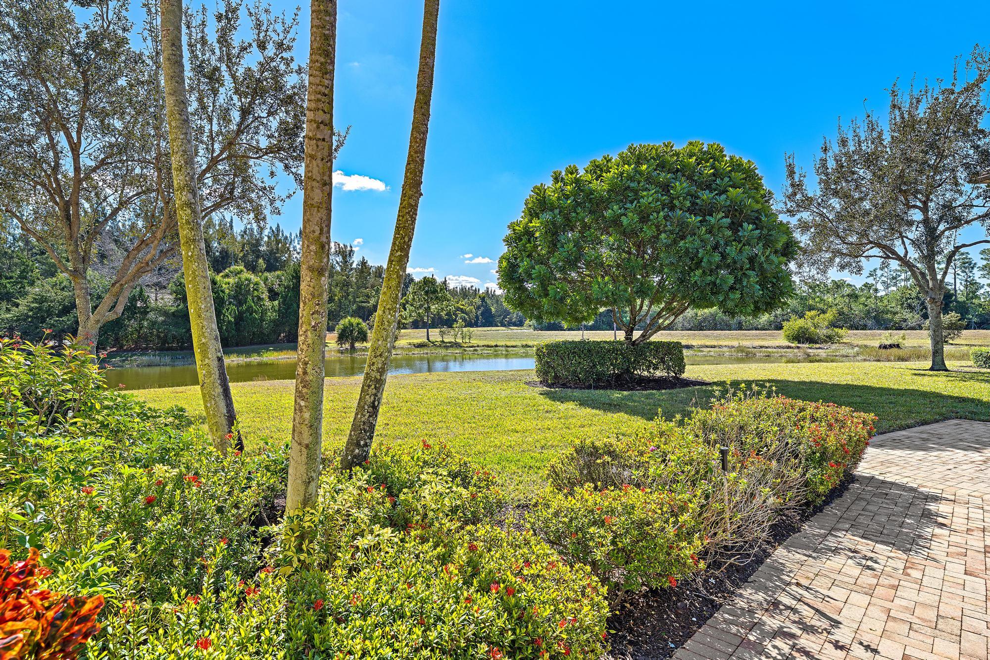 10136 Orchid Reserve Drive — photo 2