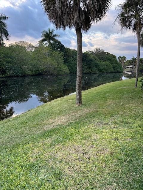 405 S Pine Island Road 213D, Fort Lauderdale, FL 33324 photo 19