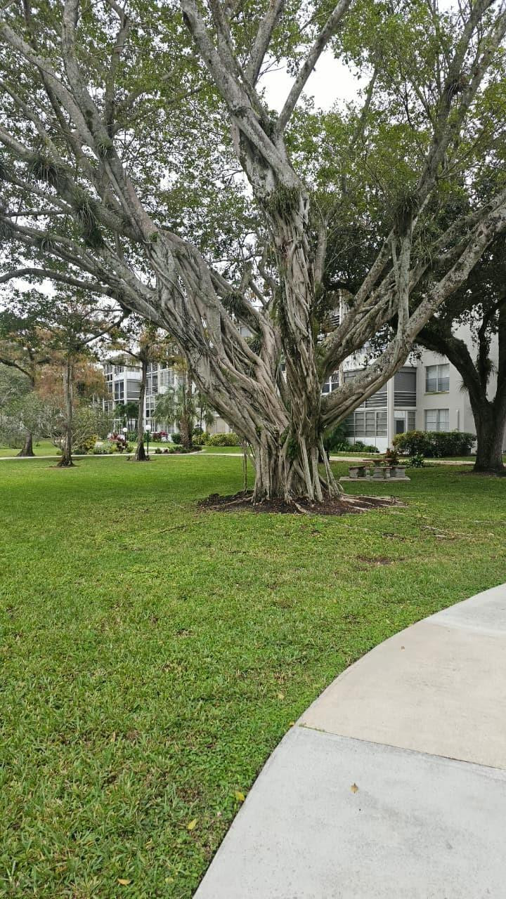 4851 NW 26th Court 342, Lauderdale Lakes, FL 33313 photo 28