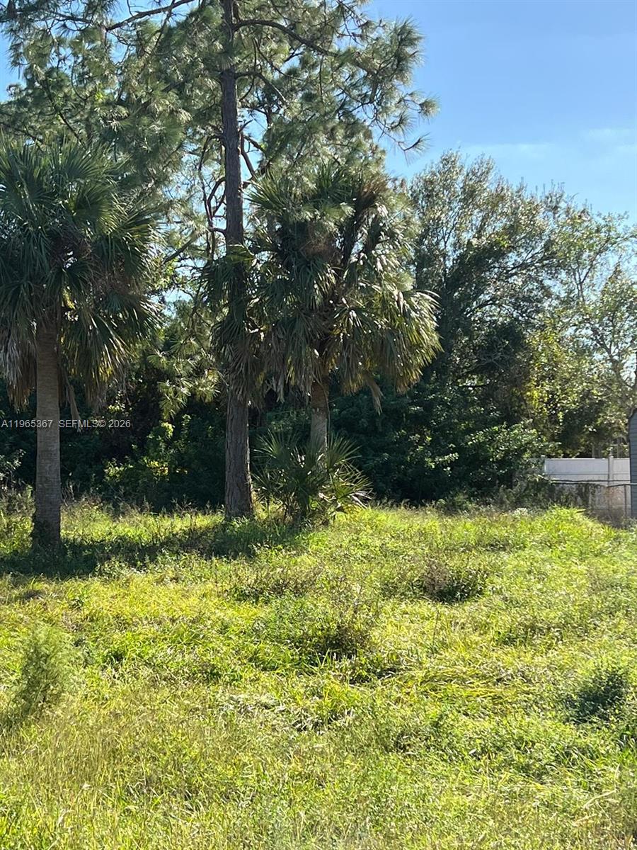 803 W 6th Street, Lehigh Acres, FL