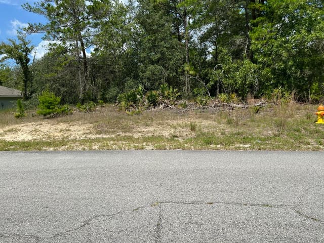6876 N Sandborn Loop, Citrus Springs, FL 34433