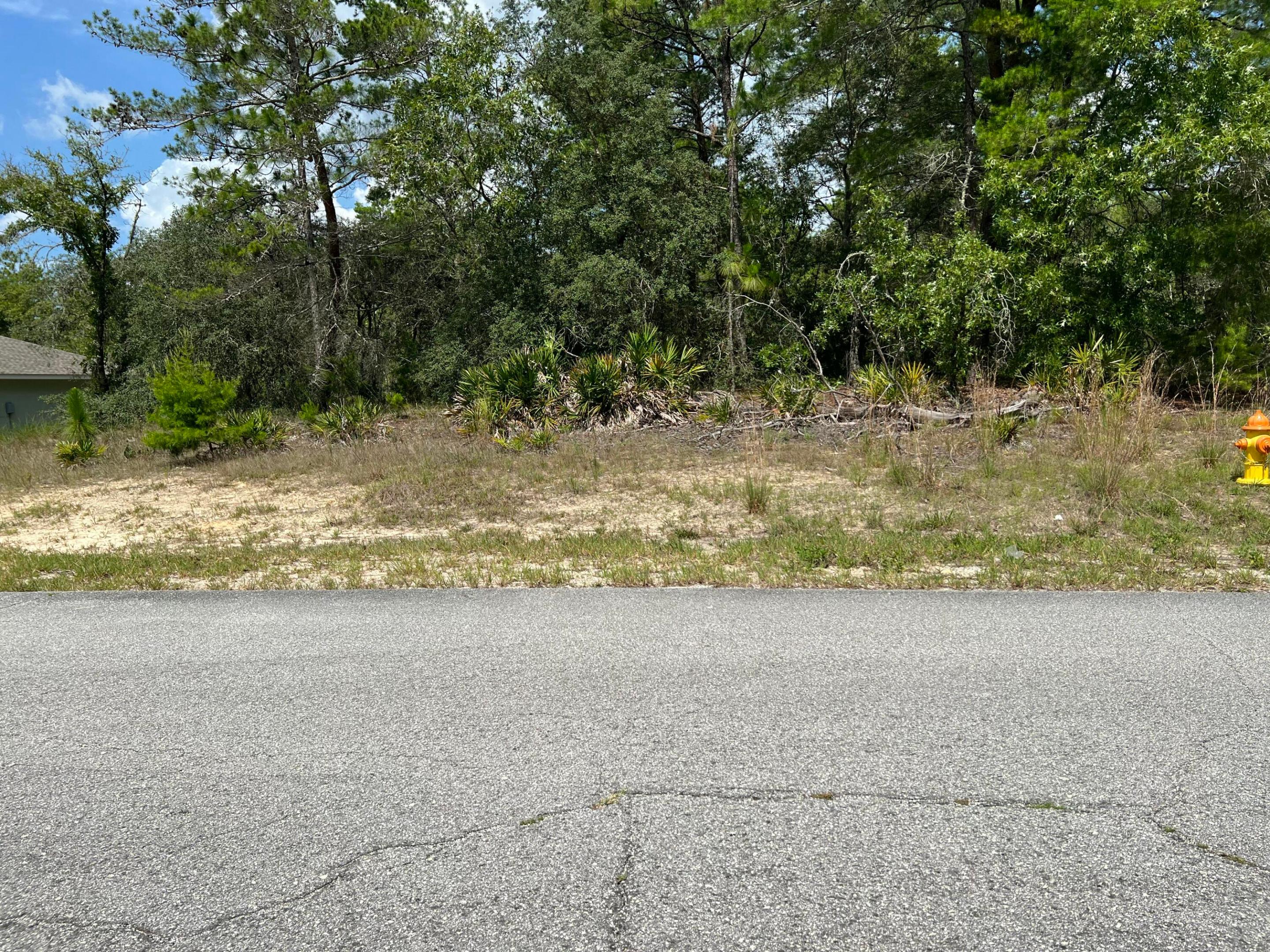 6876 N Sandborn Loop, Citrus Springs, FL 34433, Citrus Springs