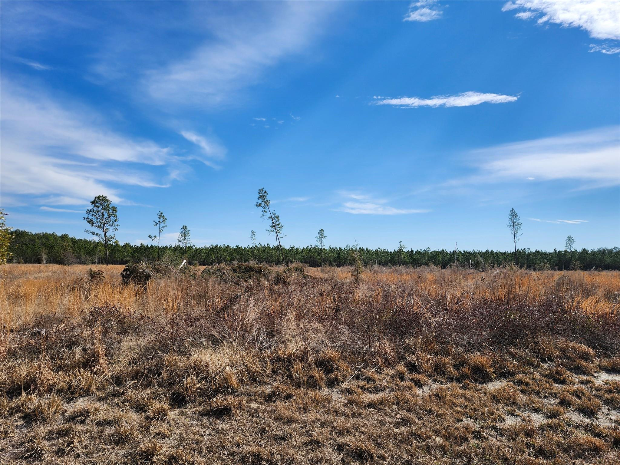Lot 50 Fl-50, Live Oak, FL 32060, Live Oak