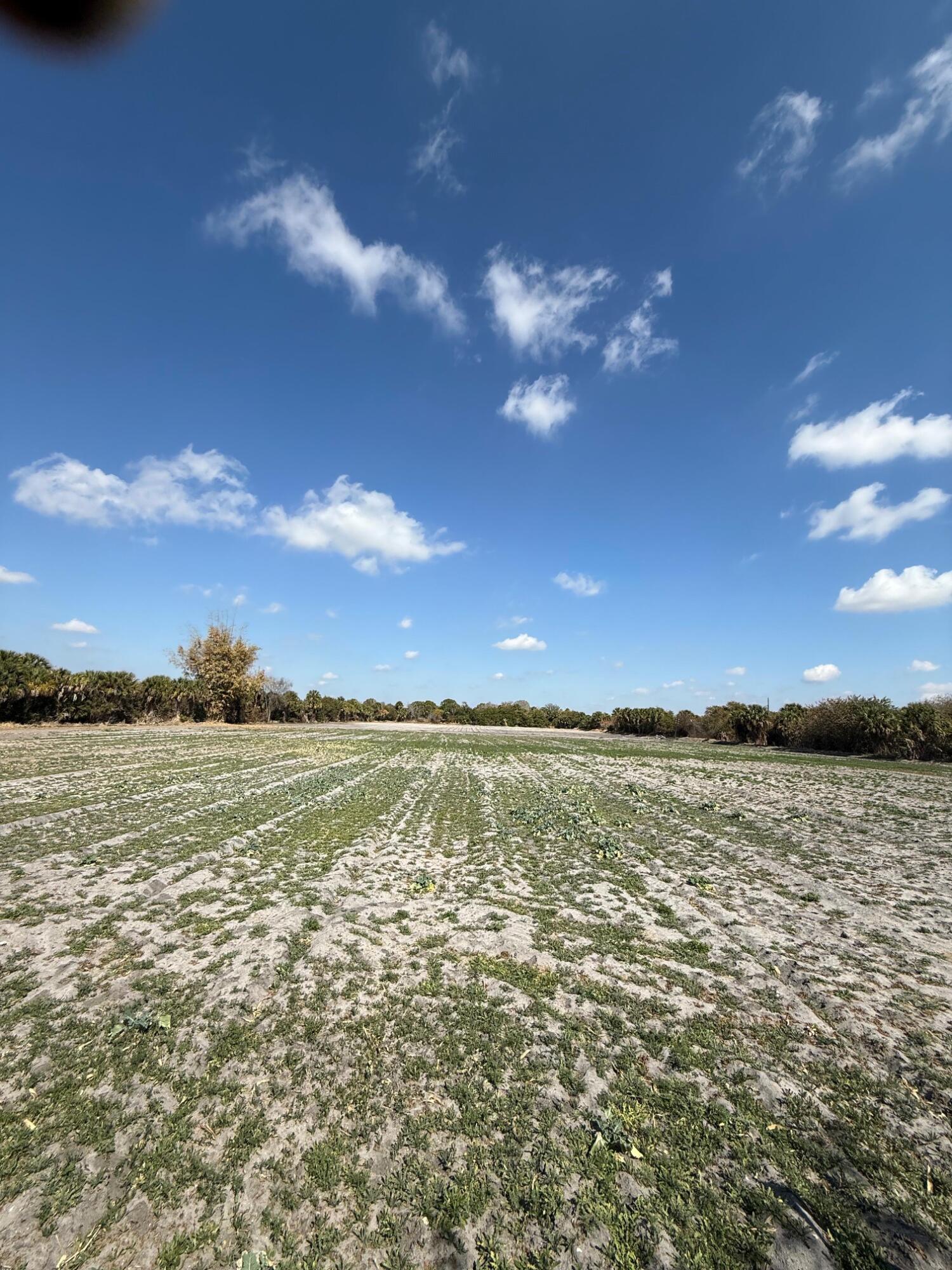 00 SW Tommy Clements Street, Indiantown, FL 34956, Indiantown