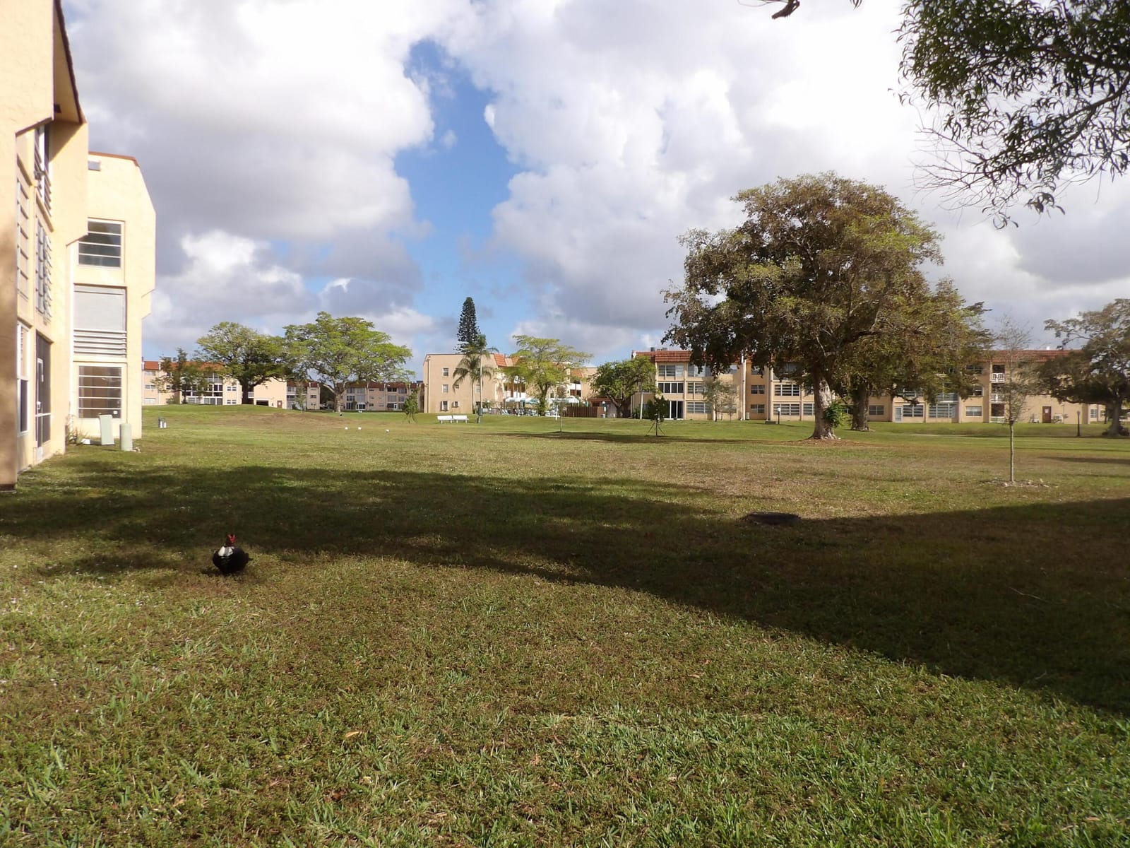 9310 Sunrise Lakes Boulevard 108, Sunrise, FL 33322 photo 22