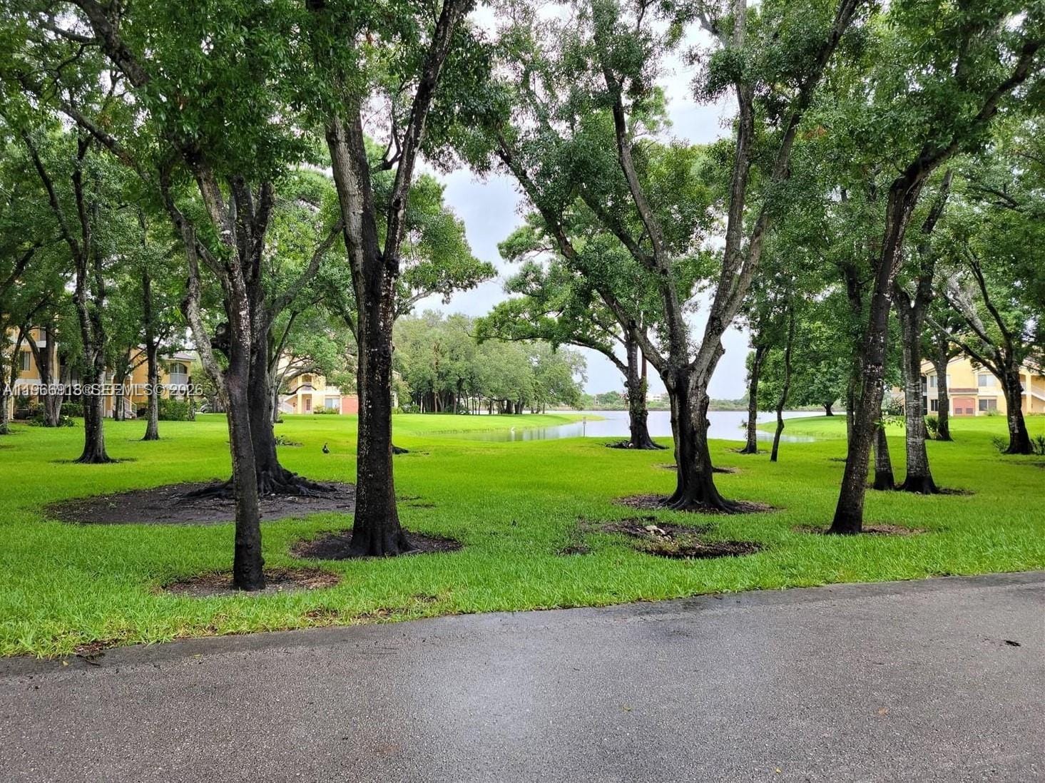 2420 NW 33rd Street 1008, Oakland Park, FL 33309 photo 20