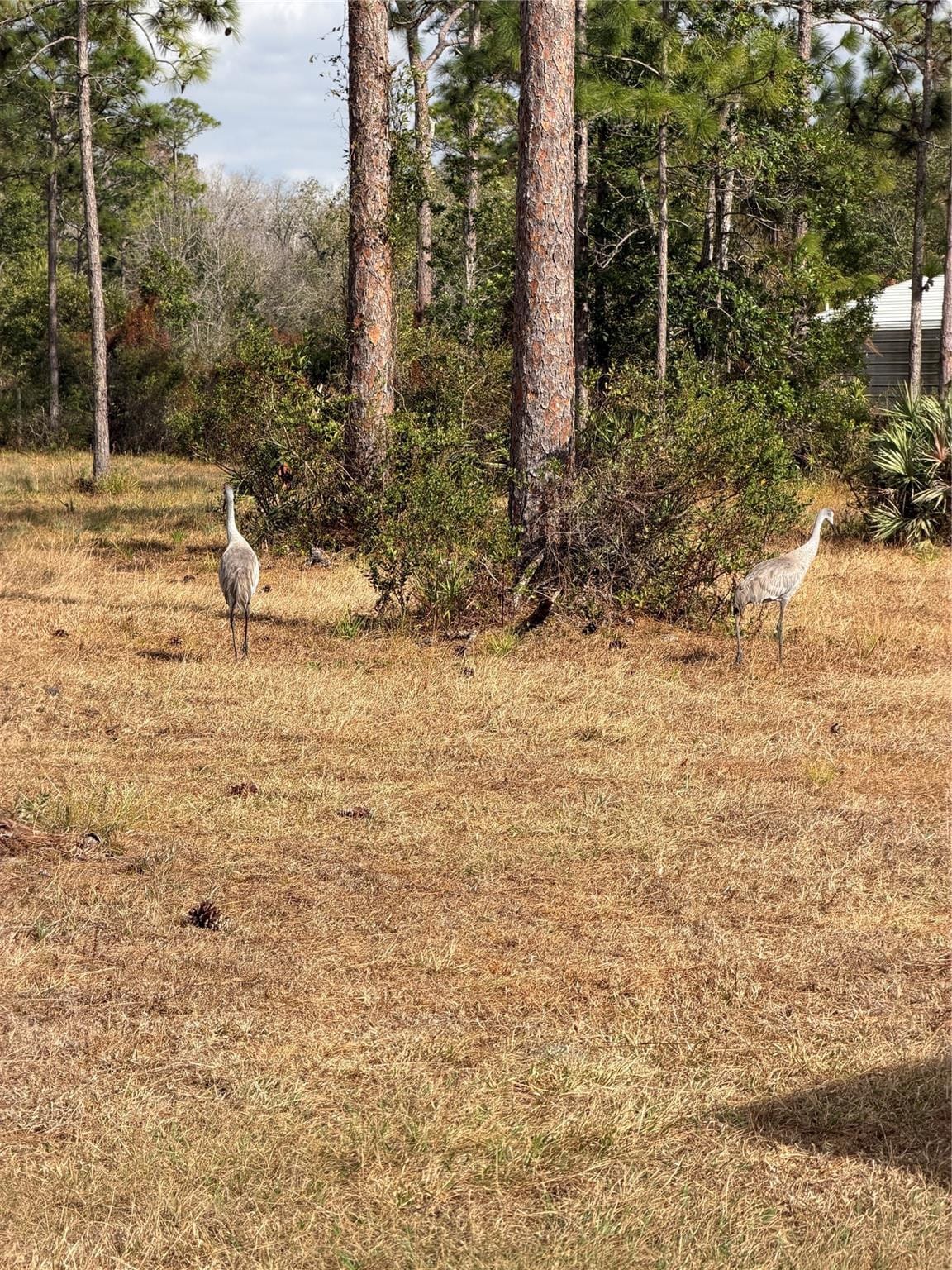 39702 NW 24th Drive, Okeechobee, FL 34972 photo 21