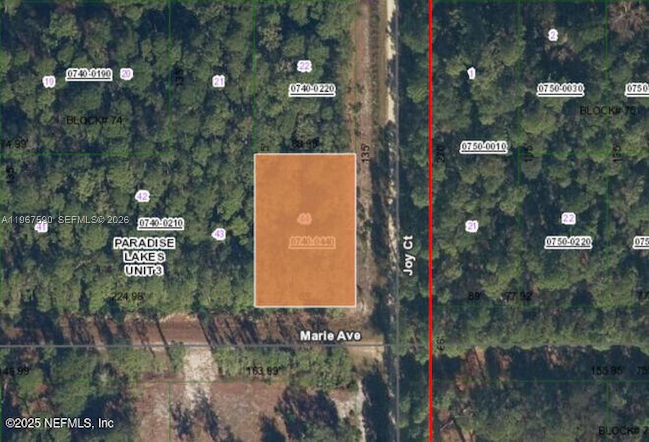 216 Marie Avenue, FL 32139, Georgetown