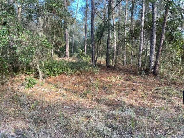 417 Incline, Satsuma, FL 32189, Satsuma