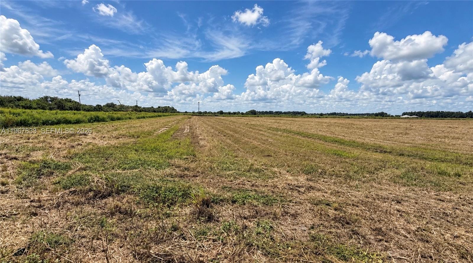 595 N Header Canal Road 0, Fort Pierce, FL 34945 photo 9
