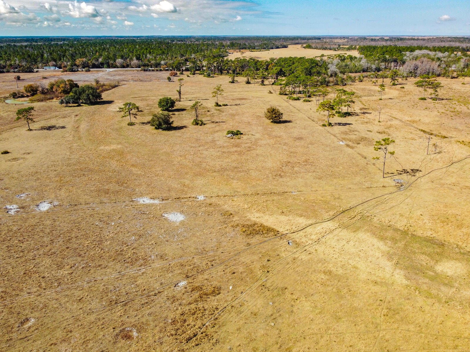 5151 S Kenansville Road, Okeechobee, FL 34972 photo 20