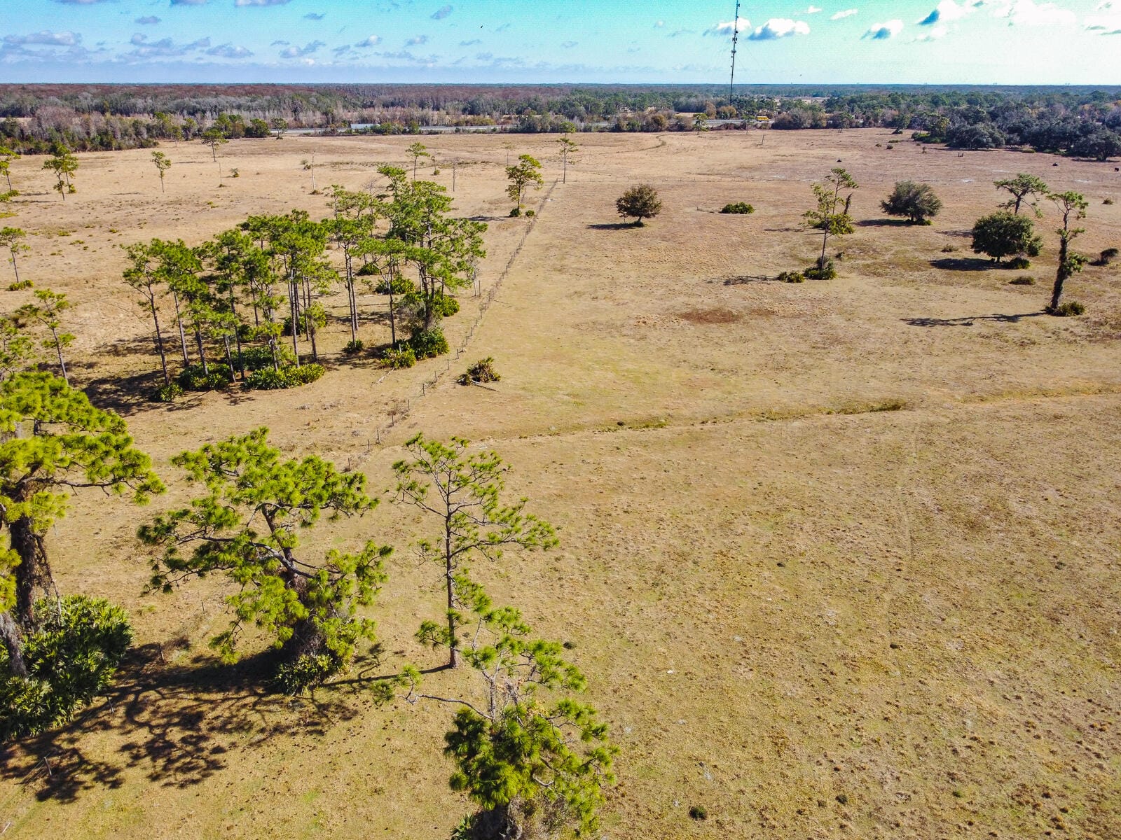 5151 S Kenansville Road, Okeechobee, FL 34972 photo 23