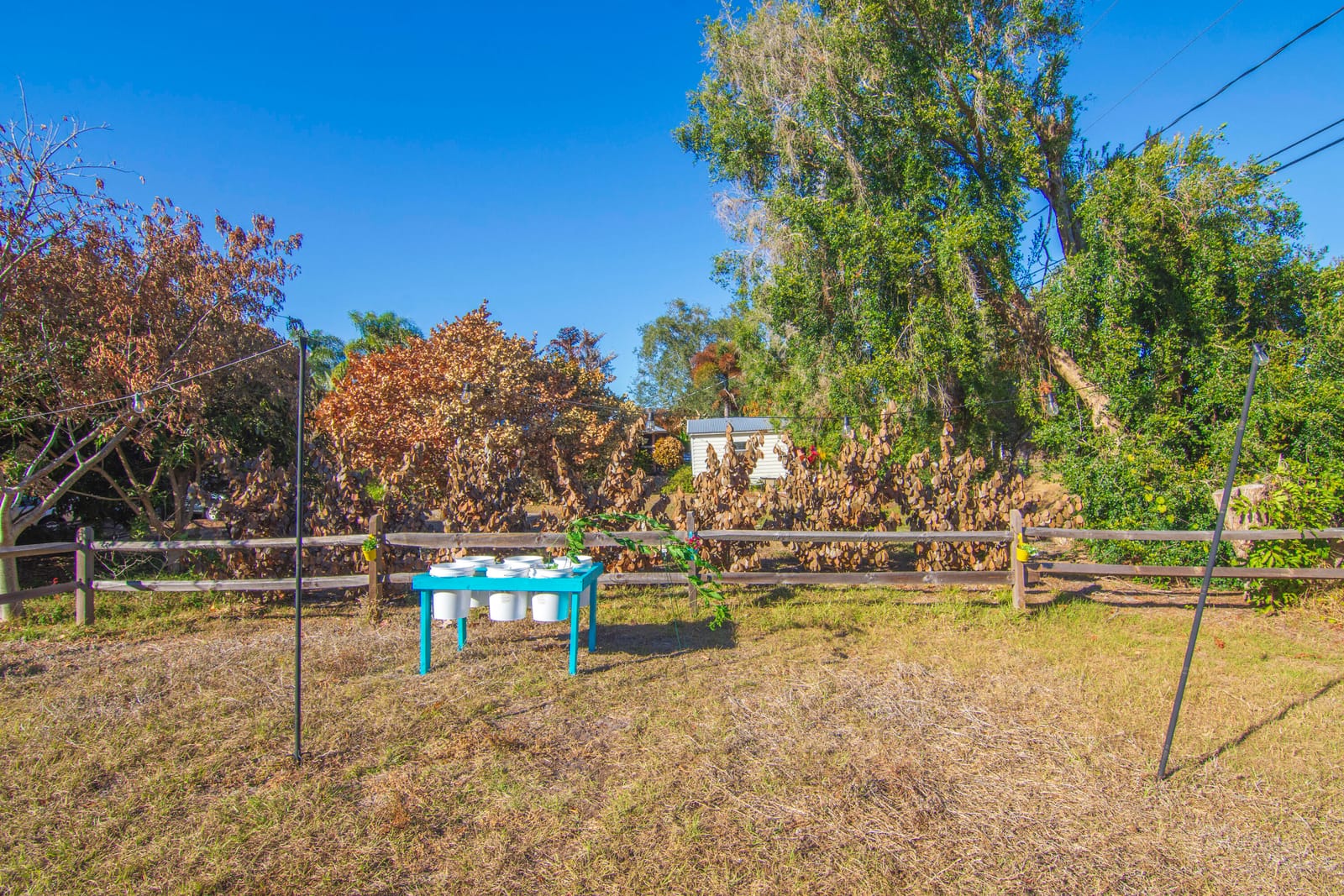 108 Tracy Drive, Sebastian, FL 32958 photo 20