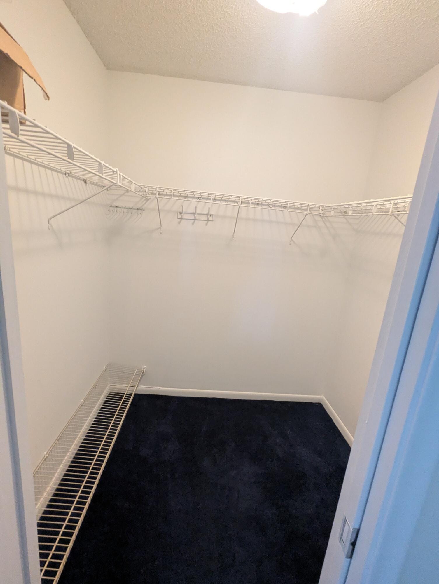 113 Wellington M — photo 9