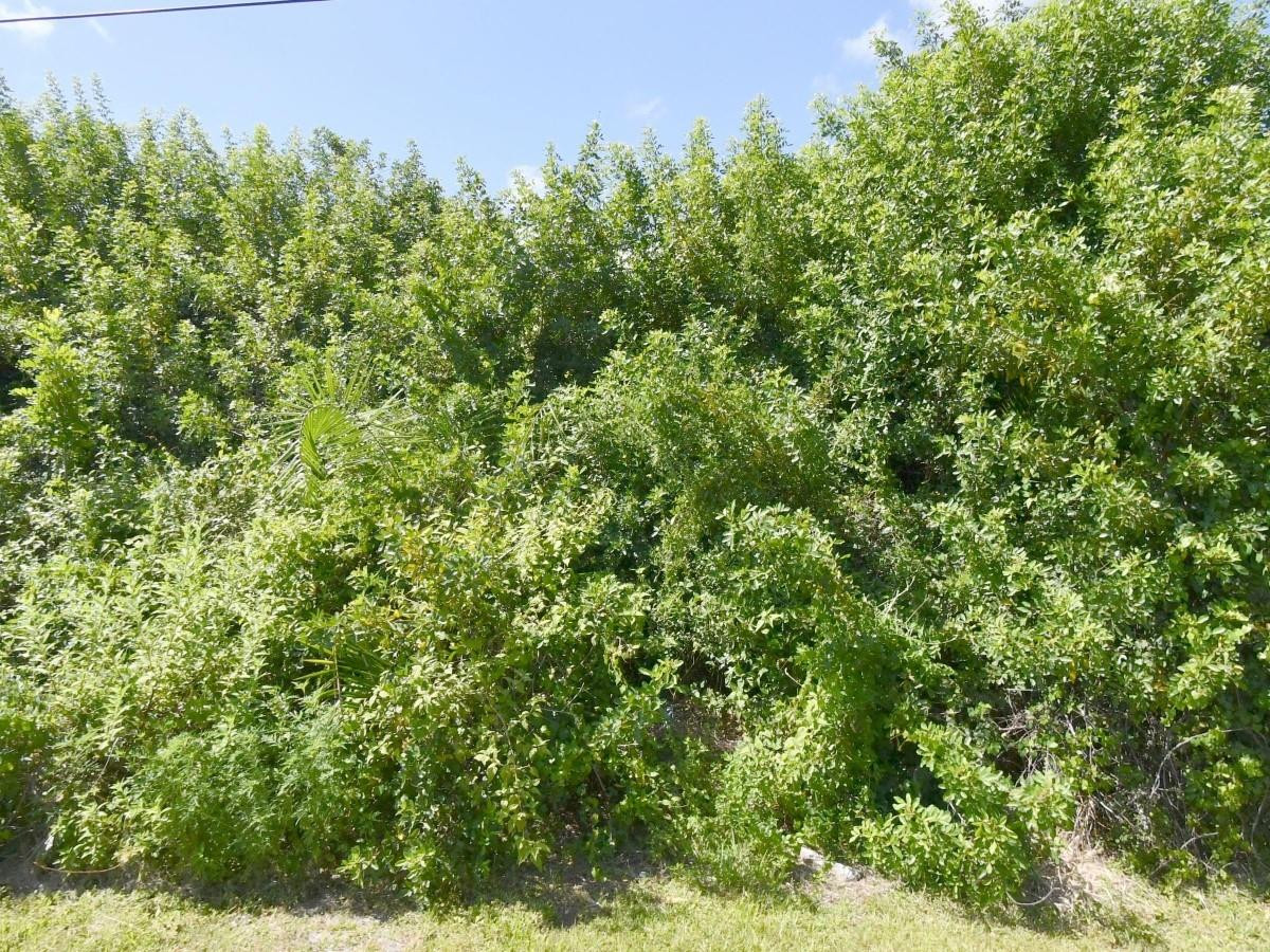 1582 SW Jacksonville Avenue, Port St. Lucie, FL 34953, Port St Lucie
