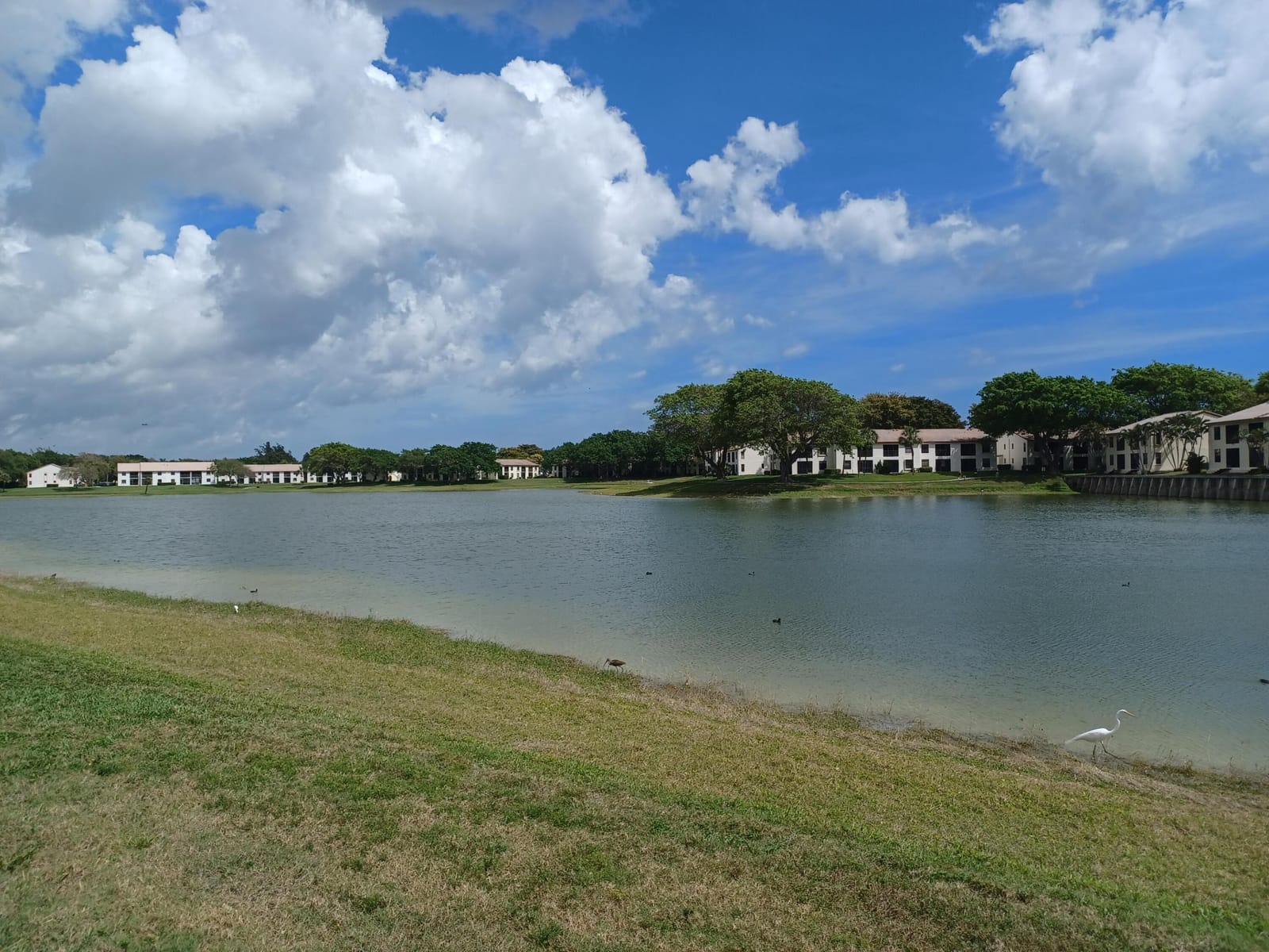 338 Eastwood Terrace, Boca Raton, FL 33431 photo 9