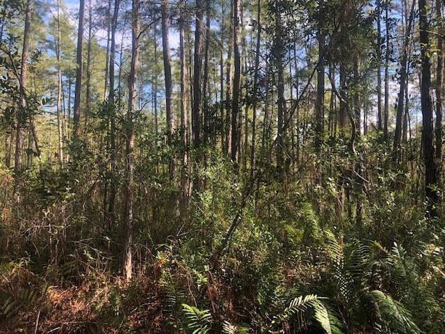 0 Old Grade Road, FL 33868, Polk City