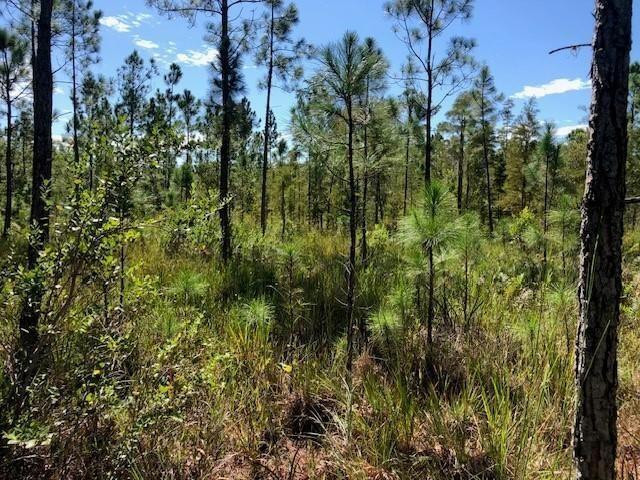 0 Old Grade Road, FL 33868, Polk City