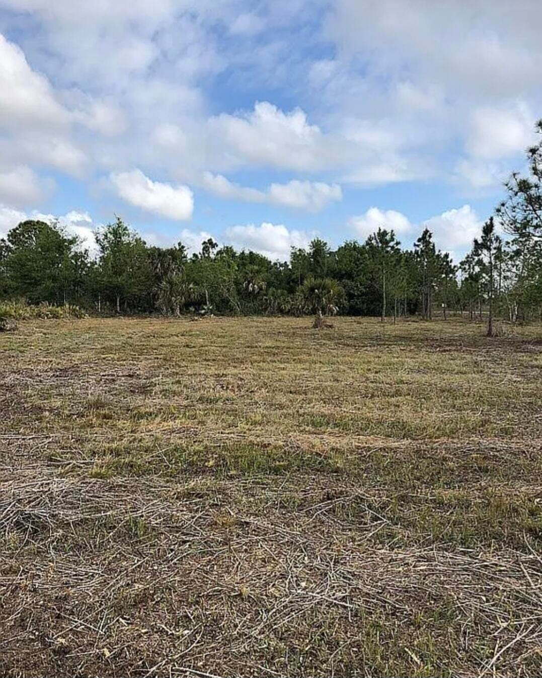 18826 NW 260th Street, Okeechobee, FL 34972 photo 3