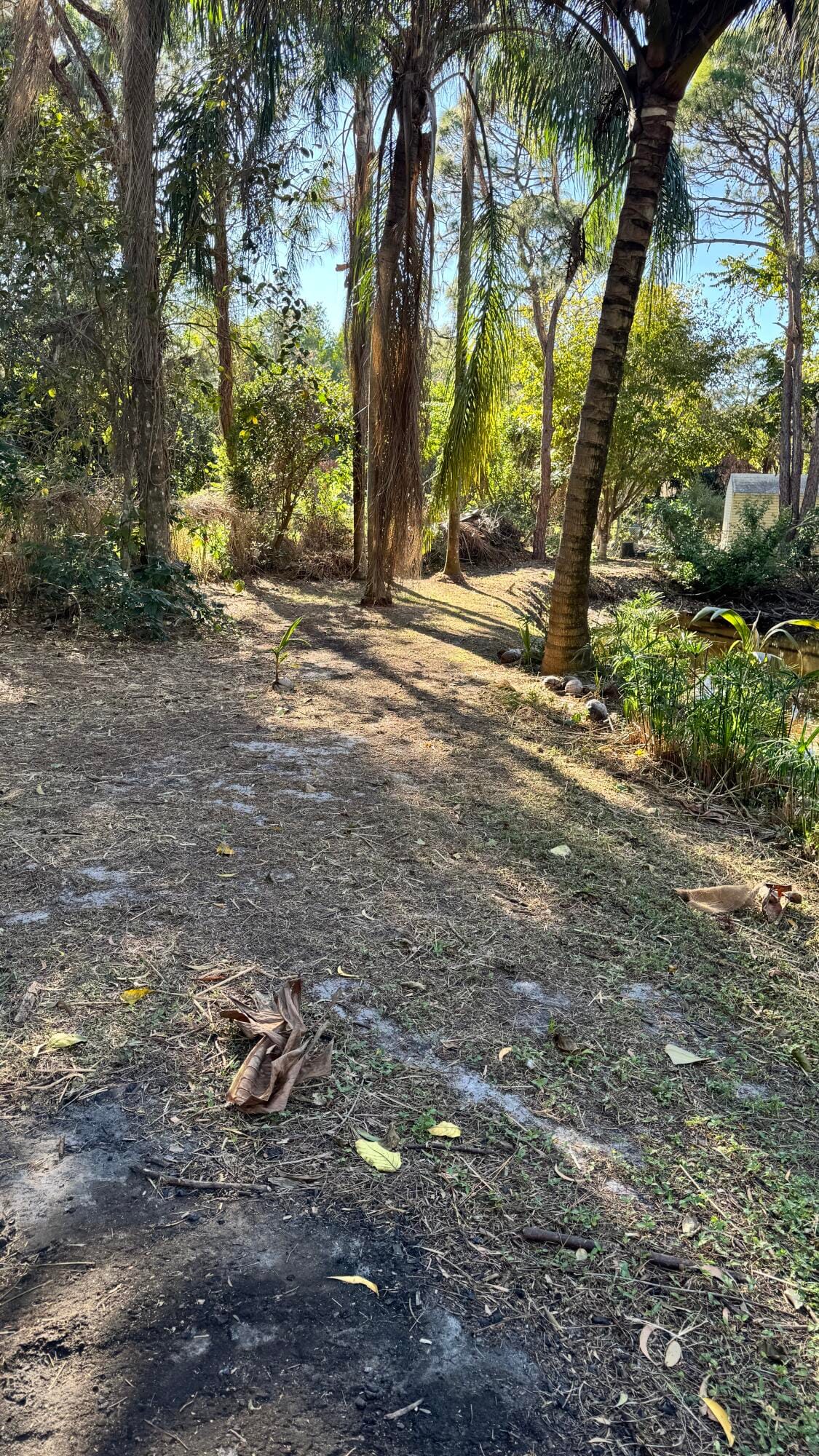 11852 47th Road N, West Palm Beach, FL 33411 photo 13