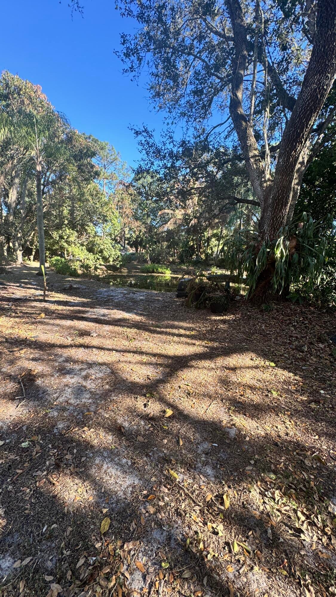 11852 47th Road N, West Palm Beach, FL 33411 photo 15