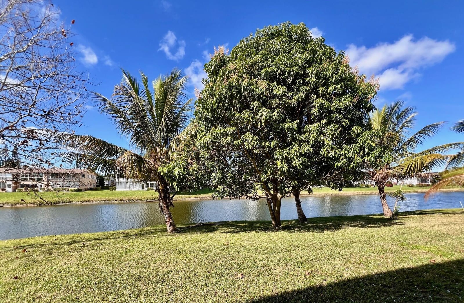 240 Bedford J, West Palm Beach, FL 33417