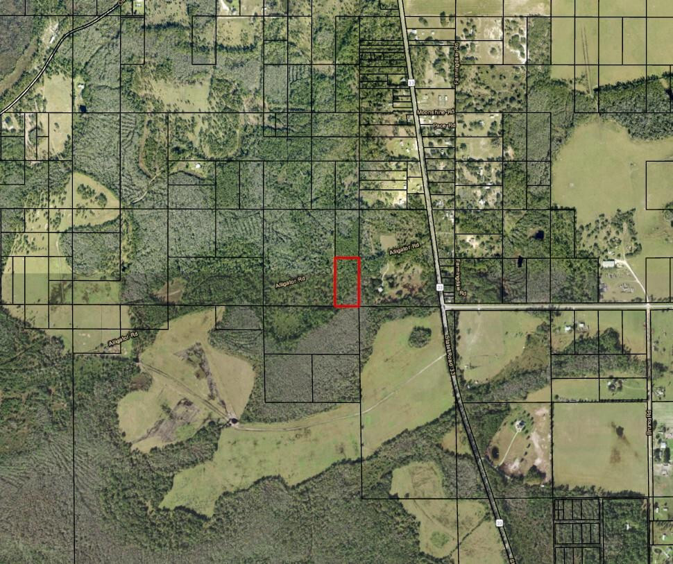 0 Alligator Road, Clermont, FL 33868, Clermont