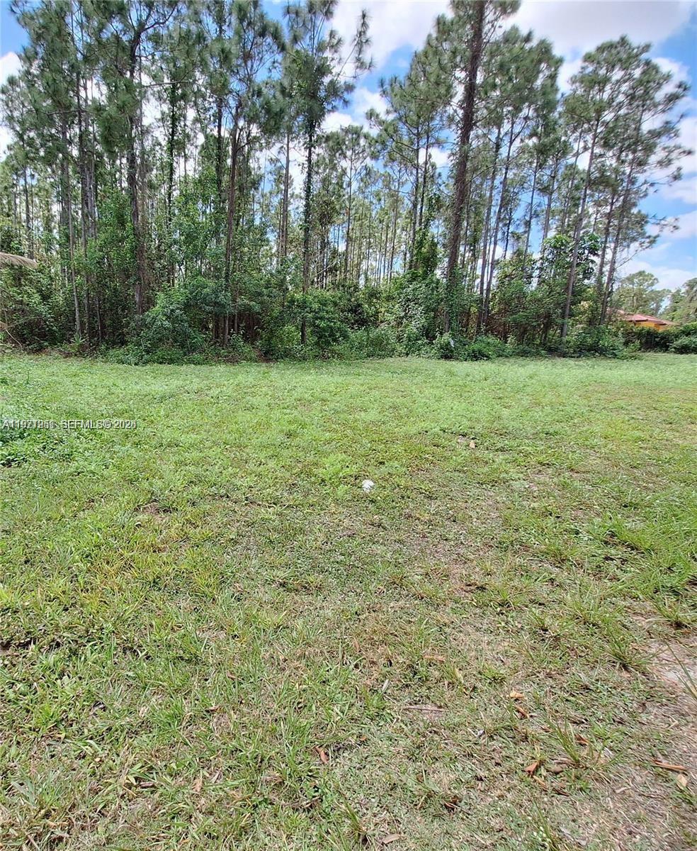 19310 SW 134th Street, Homestead, FL 33034, Homestead