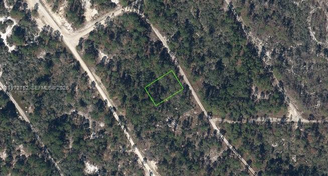 520 Deep River Drive, Lake Placid, FL 33852, Lake Placid