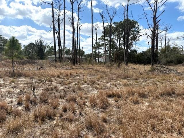 245 Moon River Avenue, Lake Placid, FL 33852 photo 3