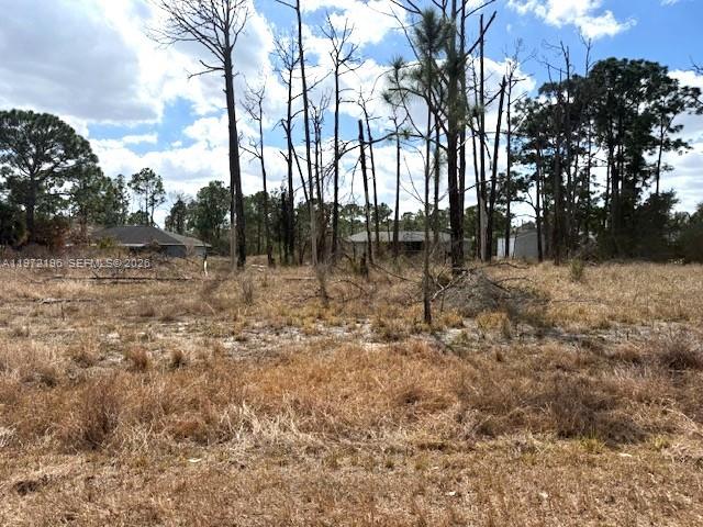 245 Moon River Avenue, Lake Placid, FL 33852, Lake Placid