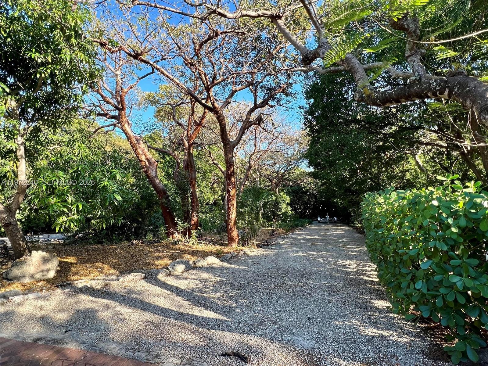 20 Avacado Street — photo 11